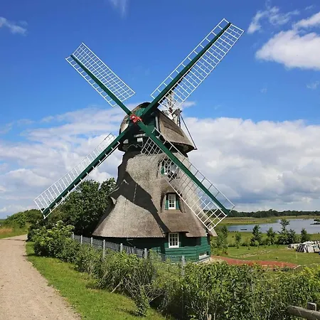 Lischewski Daire